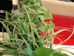 -避风塘(百联东郊店)