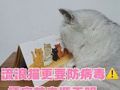 -北京佳信宠物医院