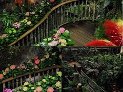 -正佳雨林生态植物园
