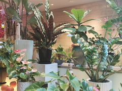 -上海静安昆仑大酒店