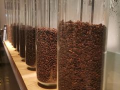 -喜茶(东莞汇一城店)