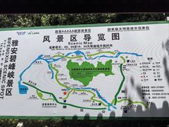 -碧峰峡风景区