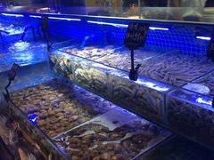 水产区-渔民船说·北塘海鲜·天津菜·海肠捞饭(北塘古镇店)