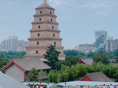 -大嘻咹biangbiang面(历史博物馆店)