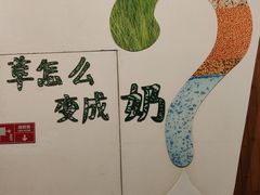 -君乐宝优致牧场