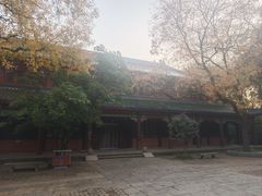 -灵谷景区