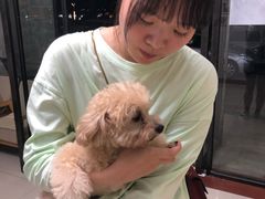 -瑞派康怡24h宠物医院·犬猫医疗中心·微创绝育(瑞景分院)