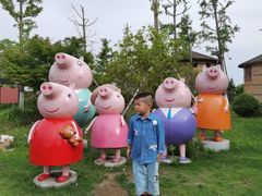 -杭州湾海上花田景区