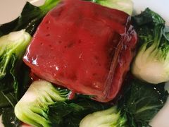 -绿波廊(豫园店)