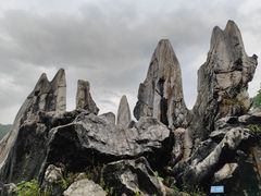 -玉石林风景区
