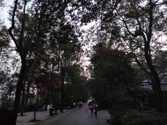 -岳麓山风景名胜区