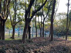 -长广溪湿地公园