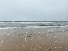 -日照海滨国家森林公园