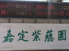 -嘉定紫藤园