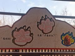 -沈阳森林动物园