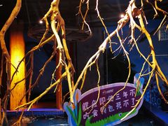 -昆明大悦城未来动物城(螺蛳湾中心店)