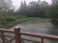 -桤木河湿地公园