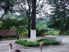 -重庆园博园
