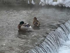 -水磨沟公园