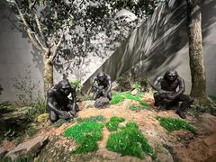 -北京周口店北京人遗址博物馆