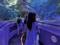 -大连圣亚海洋世界