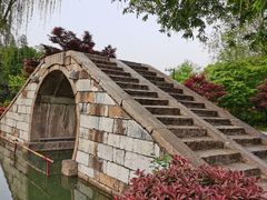 -青枫公园
