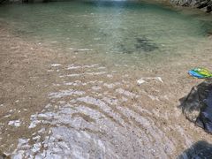 -南海湾森林生态园