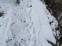 -云梦山