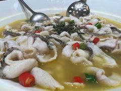 -青花椒花椒鱼(合生汇店)