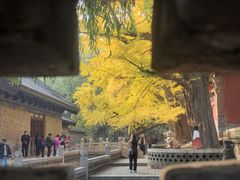 -晋祠公园