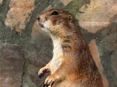 -珠海海泉湾神秘岛亲子乐园