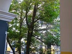 -湖南省立第一师范学校旧址