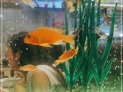 -新辉港式茶餐厅(北栅店)