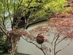 -采石矶景区