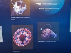 -上海中国航海博物馆