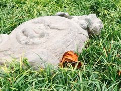 -正阳书局(西四南大街店)
