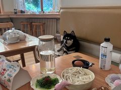 -柴の食堂·日式家庭料理·熊之肆(大学路店)