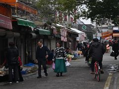 -花园菜市场