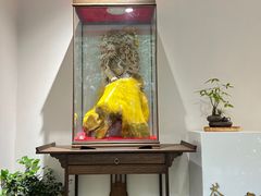 -中和·国风茶馆(愚园路店)