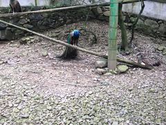 -藏龙百瀑风景区