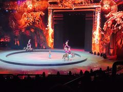 -珠海横琴长隆《卡卡虎奇遇记》