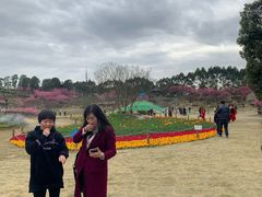 -秀丽东方