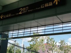 -桃浦新村(地铁站)