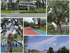 -文华公园(禅城区)