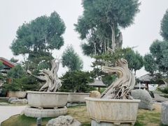 -中国唐苑