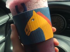 乐葡小马-春丽小马(济南恒隆广场店)