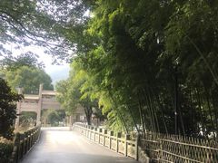 -旺山景区