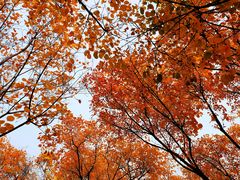 -北京西山国家森林公园