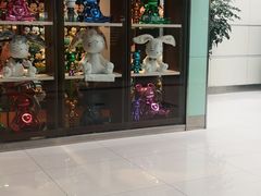 -丽江三义国际机场