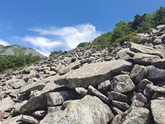 -朱雀国家森林公园